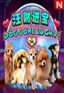 Doggone Lucky